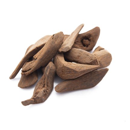 عود راقي